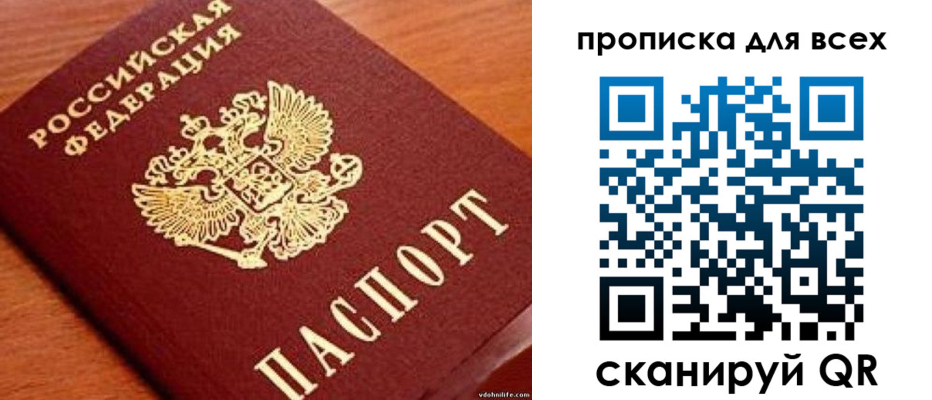 где прописаться в Светогорске